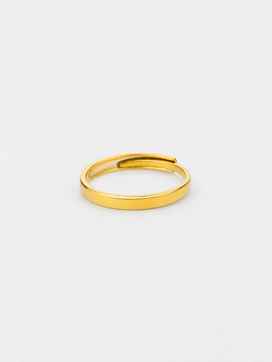 ANILLO LINEAR
